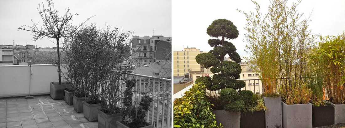Avant - Après : Aménagement paysagé d'une terrasse avec vue à Toulouse