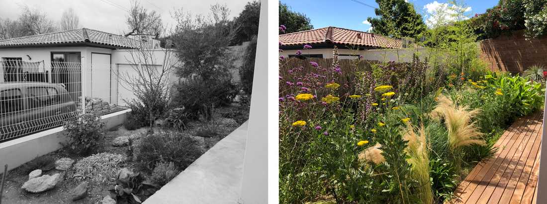 Avant-après de l'aménagement d'une petit jardin dans un lotissement par un paysagiste de la Haute-Garonne