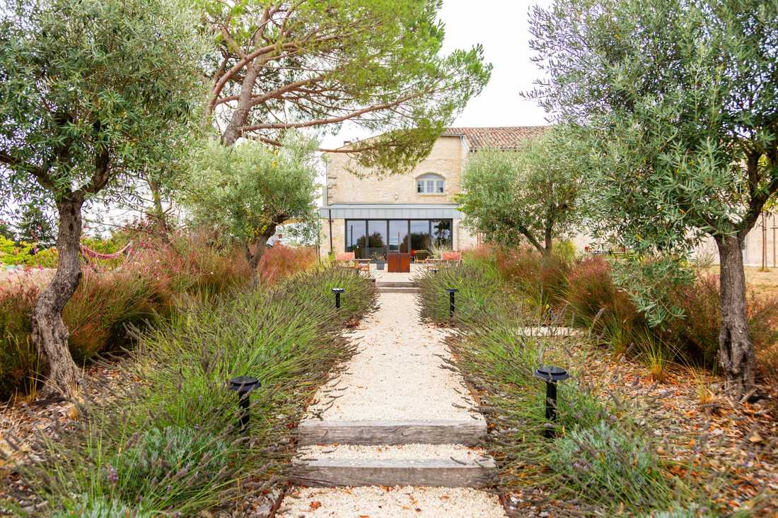Végétalisation du jardin d'une maison ancienne dans le Gers par un paysagiste 