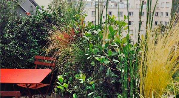 Avant aprés de la rénovation d'une terrasse sur un toit en zinc dans un appartement à Toulouse