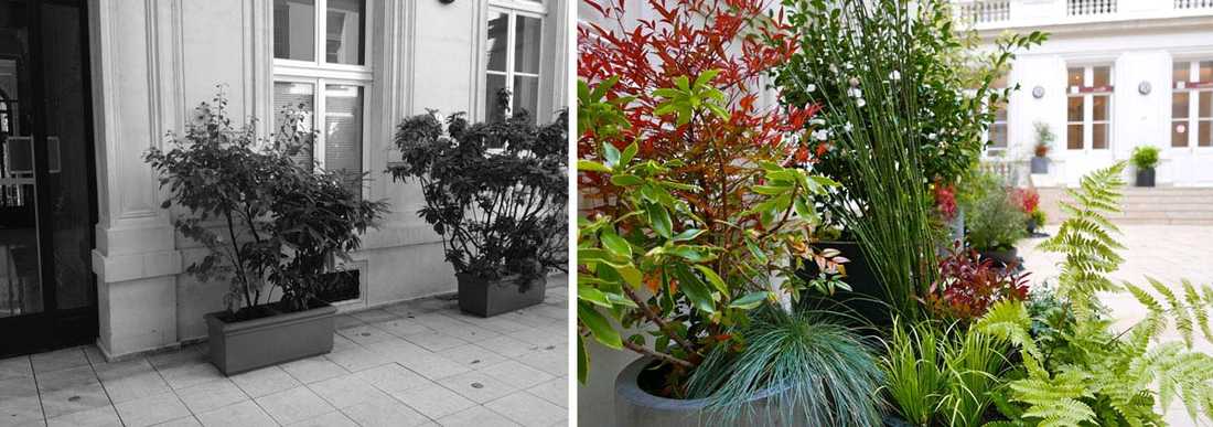 Un jardinier paysagiste aménage la cour intérieure d'un hôtel particulier à Toulouse