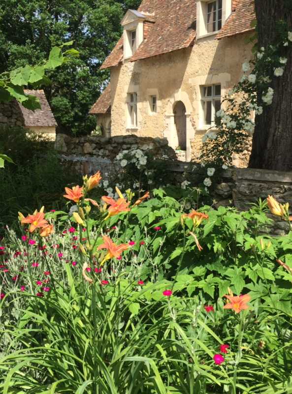Fleurs d'orangés dans un jardin de la Haute-Garonne