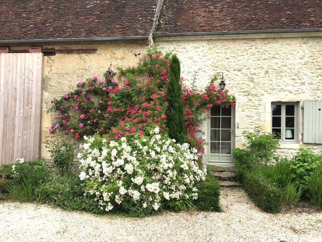 Jardin d'une maison ancienne à Toulouse