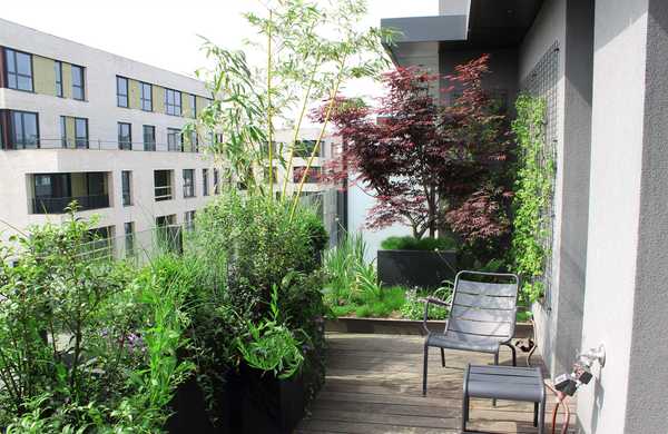 Aménagement paysager de la terrasse d'un penthouse à Toulouse.