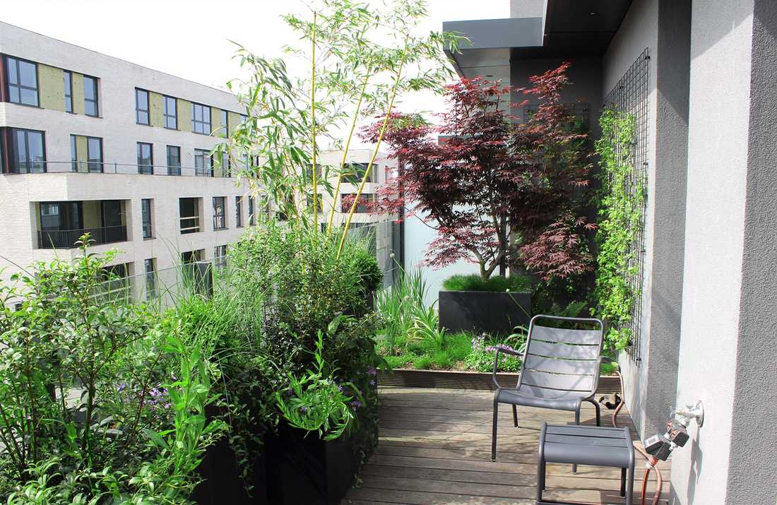 Aménagement paysager de la terrasse d'un penthouse à Toulouse