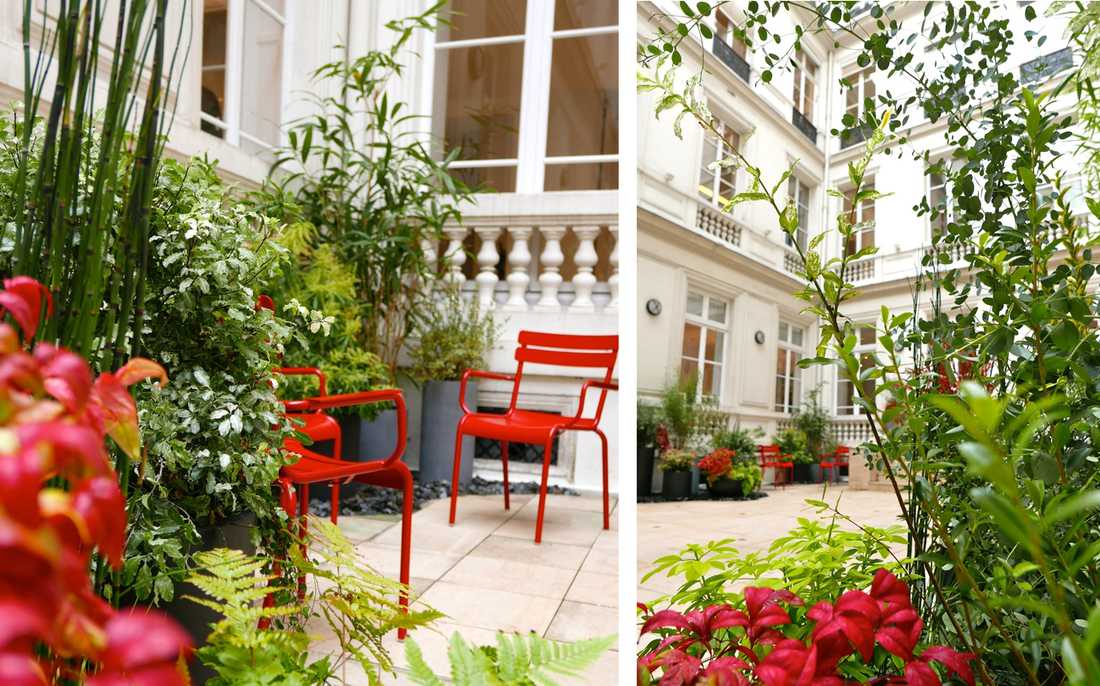 Hôtel particulier courtyard landscaping in Toulouse
