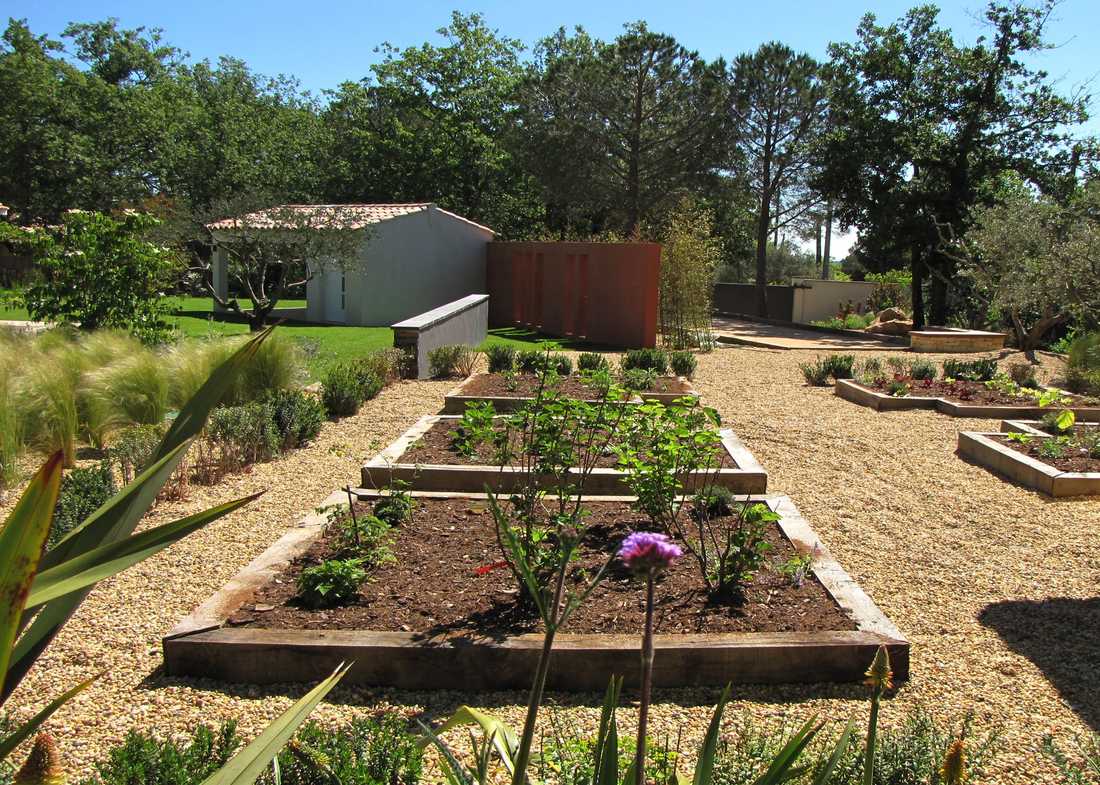 Potager méditerrannéen réalisé par un jardinier paysagiste à Toulouse