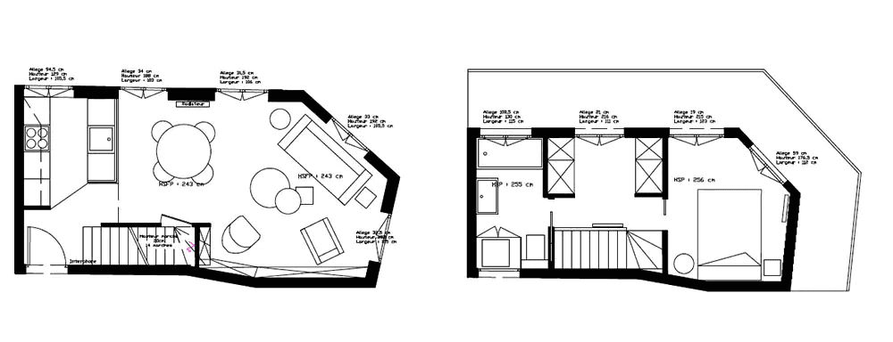 Plan de l'architecture intérieur d'un duplex à Toulouse