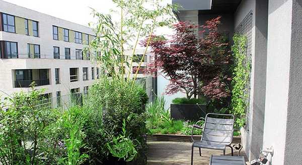 Aménagement de la terrasse d'un penthouse par un paysagiste à Toulouse